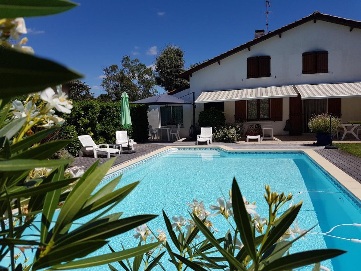 Homestay Independante 